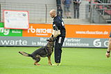 Aly von der Pflochsbacher Schmiede