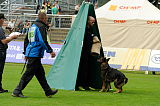 Aly von der Pflochsbacher Schmiede