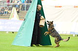 Aly von der Pflochsbacher Schmiede
