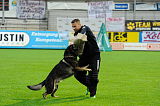 Tygo von Haus Silma