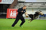 Tygo von Haus Silma
