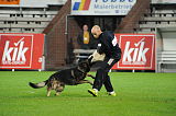 Tygo von Haus Silma