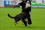 Nennox vom Almerwald