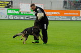Nennox vom Almerwald
