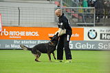 Nennox vom Almerwald