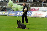 Nennox vom Almerwald