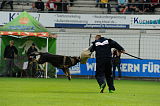 Otto von der Sperlingsbucht