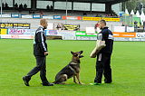 Henrik vom Wolfsheim