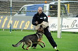 Henrik vom Wolfsheim