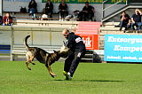 Aric vom wilden Klee