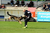 Aric vom wilden Klee