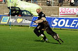 Aric vom wilden Klee