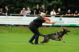 Aric vom wilden Klee