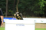 Aric vom wilden Klee