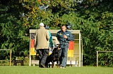 Elch vom Heltorfer Forst