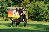 Elch vom Heltorfer Forst