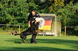 Elch vom Heltorfer Forst