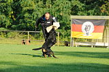 Elch vom Heltorfer Forst