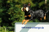 Ron vom Stüffelkopf