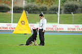 Batista vom Sottenbach