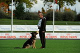 Kjerro van Blutsenhof