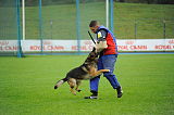 Amagers Rofus
