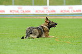 Break vom finsteren Waldeck