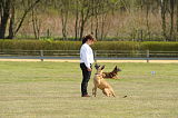 Hanni vom Parchimer Land