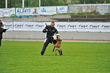 Laser van het Retrohof