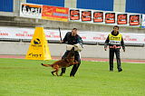 Phönix von den Lausbuben