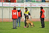 Kiirastulen Ansa