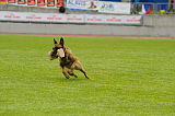Gamma vom Brunsbeker Land