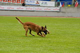 Gamma vom Brunsbeker Land