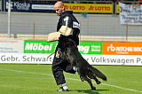 Heronimo vom Haus TTH