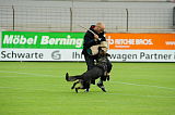 Ferro von den Oderwiesen