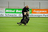 Ferro von den Oderwiesen
