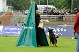 Gino von den wilden Grauen
