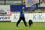Gino von den wilden Grauen