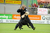 Pinuu vom Braunschweiger Wappen