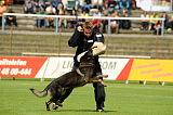 Vucan von Peroh