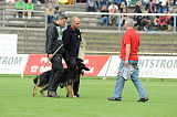 Don de Lupo