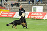 Don de Lupo