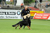Don de Lupo