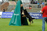 Don de Lupo