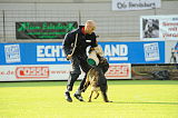Odin vom Padberg