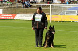 Jenky von der Schiffslache