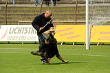 Jenky von der Schiffslache