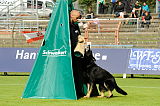 Zoff von der Mohnwiese