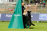 Zoff von der Mohnwiese