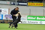 Ares vom Rabenhorst